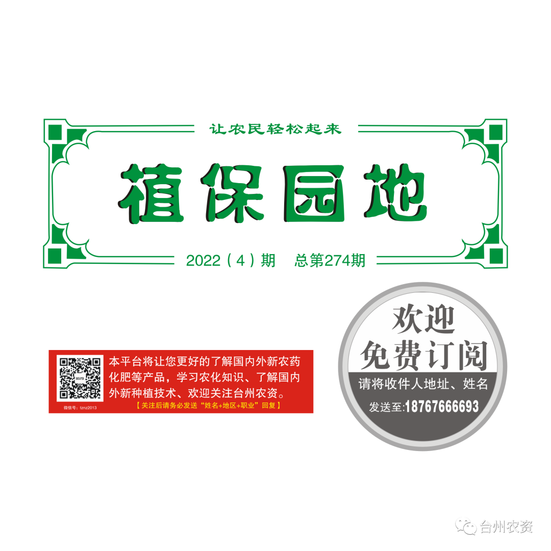 氣溫驟降，大棚西瓜做好以下幾點工作